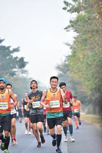 BIB: 2113, 2833
                            <button type="button" onclick="openModal(10134376)" class="btn btn-primary btn-sm float-right btn-popup" data-toggle="modal" data-target=".modal-high-quality">
                        <i class="fas fa-shopping-cart"></i> Add to Cart
                    </button>
                                            <button type="button" onclick="isThisMe(10134376, true)" class="btn btn-success btn-sm float-right btn-popup btn-isme hidden" data-toggle="tooltip" data-placement="bottom" title="นี่คือรูปของคุณใช่ไหม คลิกที่นี่เพื่อเอาเข้าอัลบั้ม">
                        <i class="fas fa-plus"></i> Add to album
                    </button>
                    <button type="button" onclick="isThisMe(10134376, false)" class="btn btn-warning btn-sm float-right btn-popup btn-isnotme hidden">
                        <i class="fas fa-ban"></i> Remove from album
                    </button>